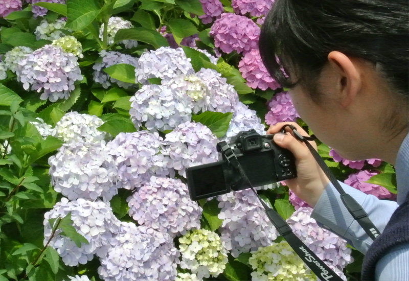 写真部